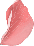 Decorative flower petal