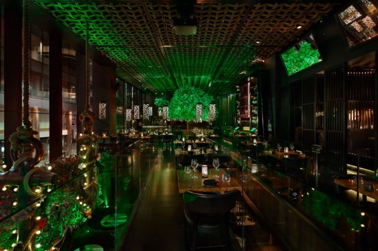 Dimly lit restaurant with green lighting, decorative plants, and tables set with glasses and plates.