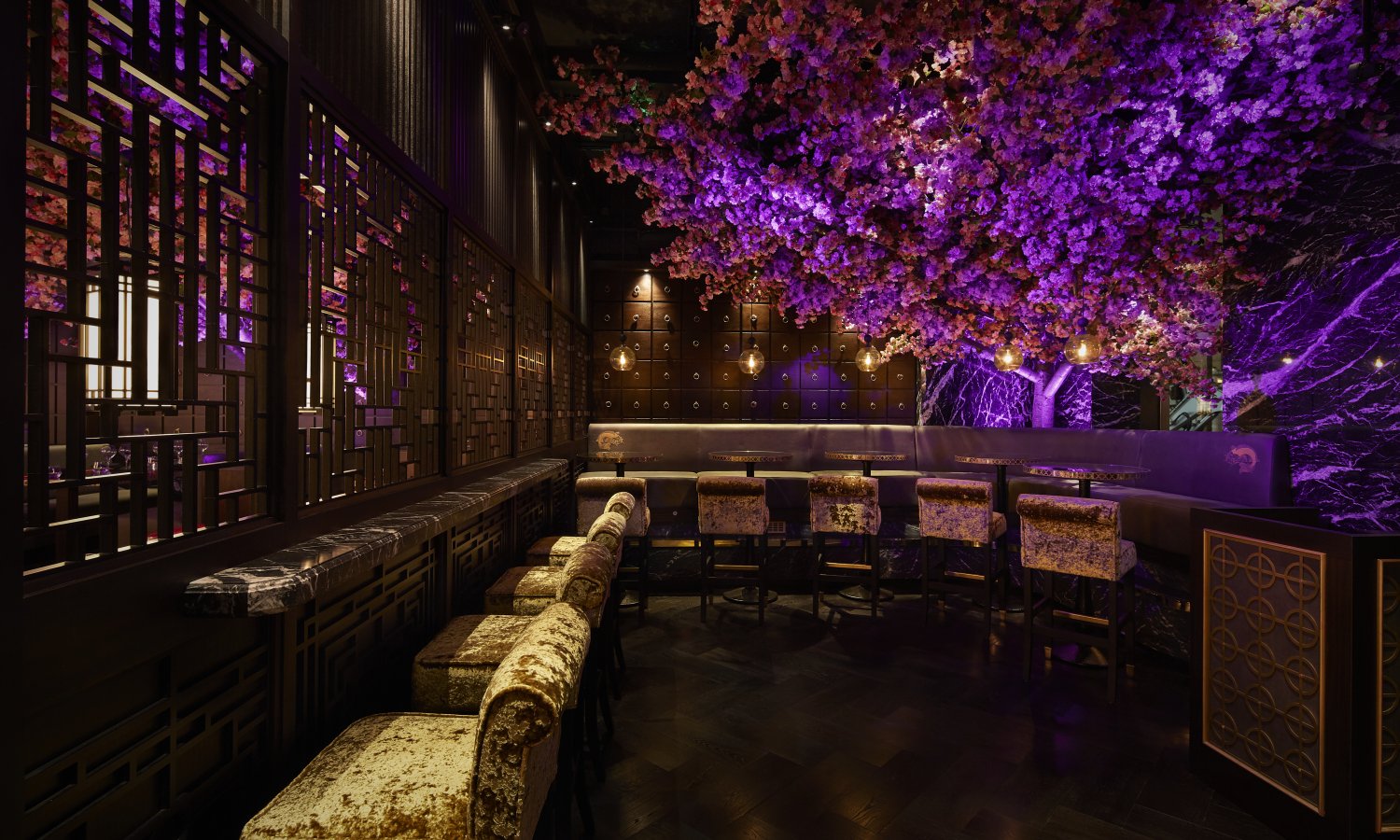 Restaurant Review: Tattu