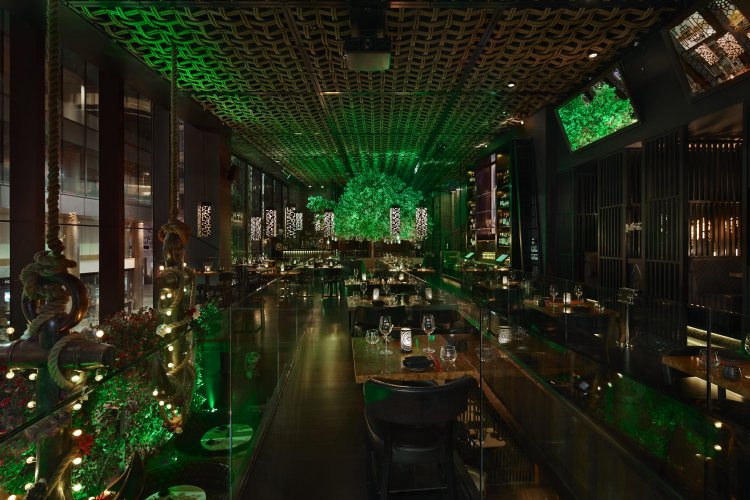 Dimly lit upscale restaurant with ornate ceiling, green tree centerpiece, and tables set for dining.