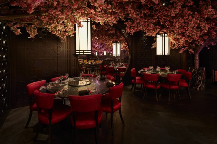 Experience luxury Christmas dining at Tattu, where red chairs and dark tables are beautifully illuminated by lanterns beneath a ceiling of pink cherry blossoms, offering festive menus and unforgettable experiences.